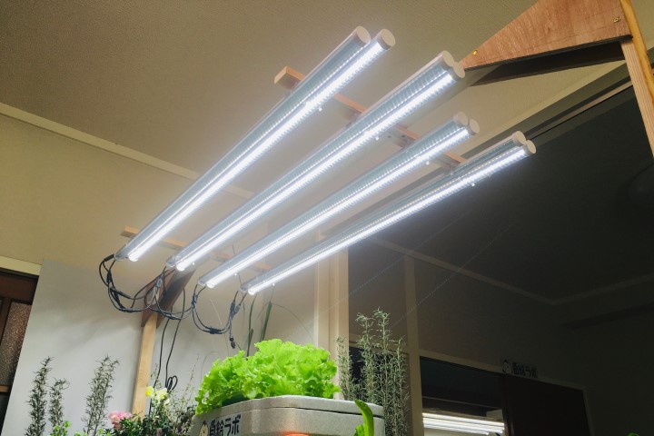 栽培用LEDの販売