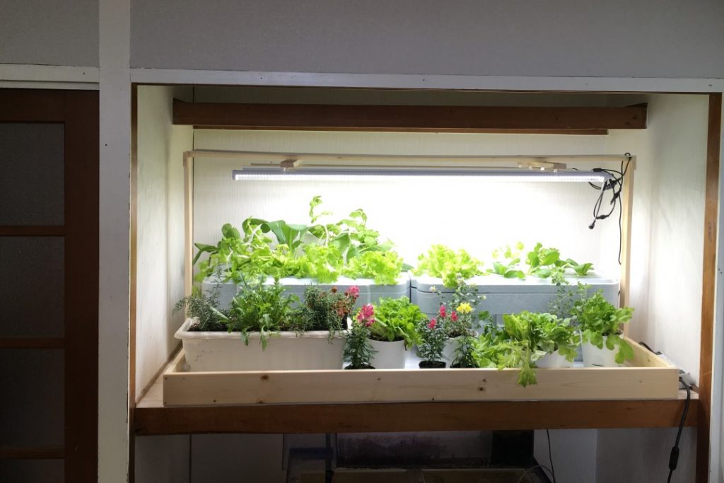 家庭用LED菜園キット、押入れ農園の販売
