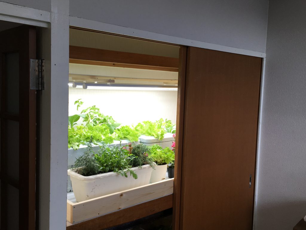革命は押入れの中から